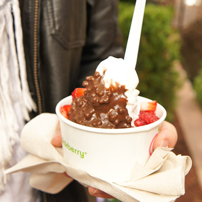 Frozen Yogurt Newbury Street