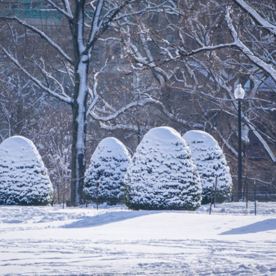 boston-hiver-neige-17-1050x700