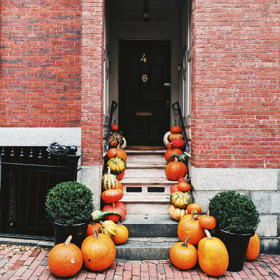 Multi citrouilles deco Halloween Boston