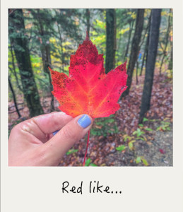 rouge automne