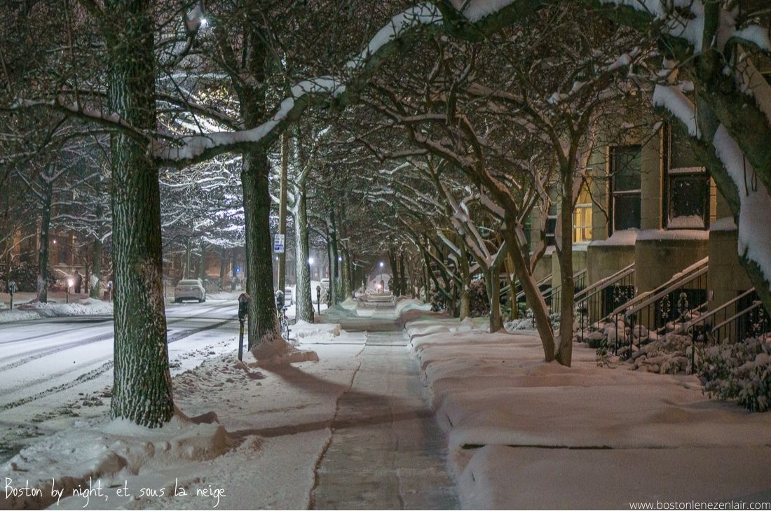 Boston sous la neige en hiver Boston le nez en lair